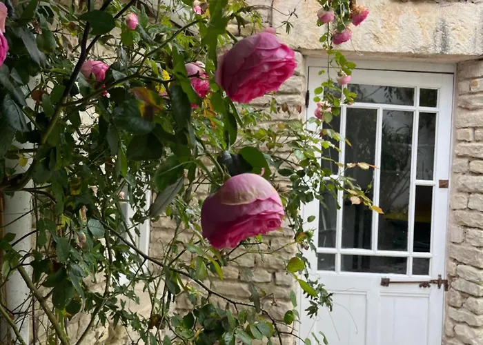 Apartamento Fenetre Sur Cour La Flotte